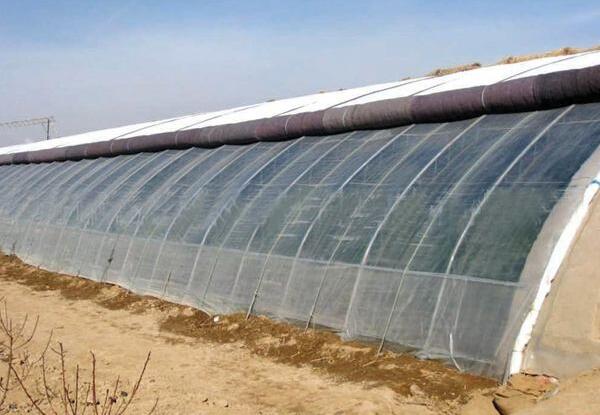 農(nóng)用無(wú)紡布大棚保溫被